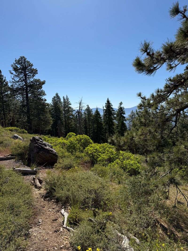 Mt. Rose Puts The Numbers In Perspective
