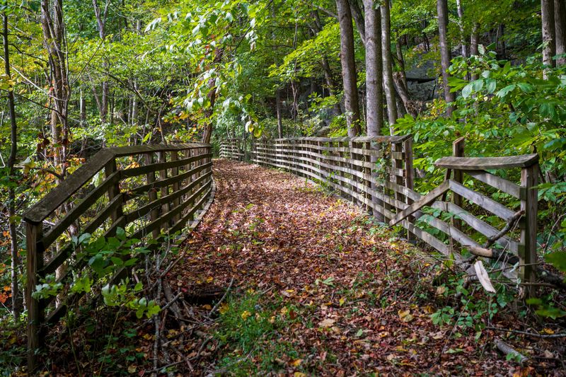 Forest Trails Are Prime Tick Territory
