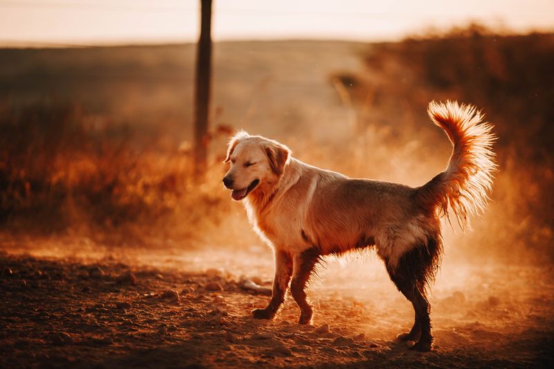 Dusty Conditions Can Increase Exposure