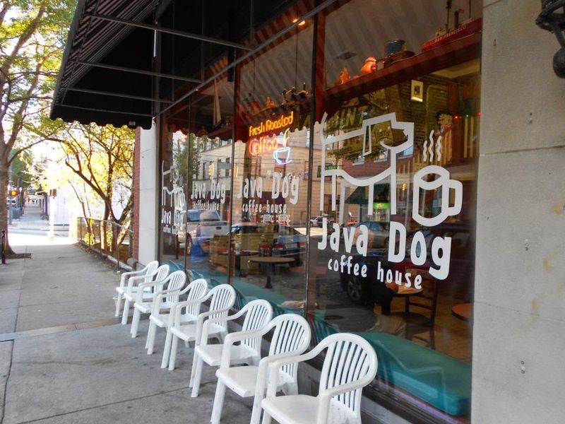 Java Dog Coffee House, Wilmington