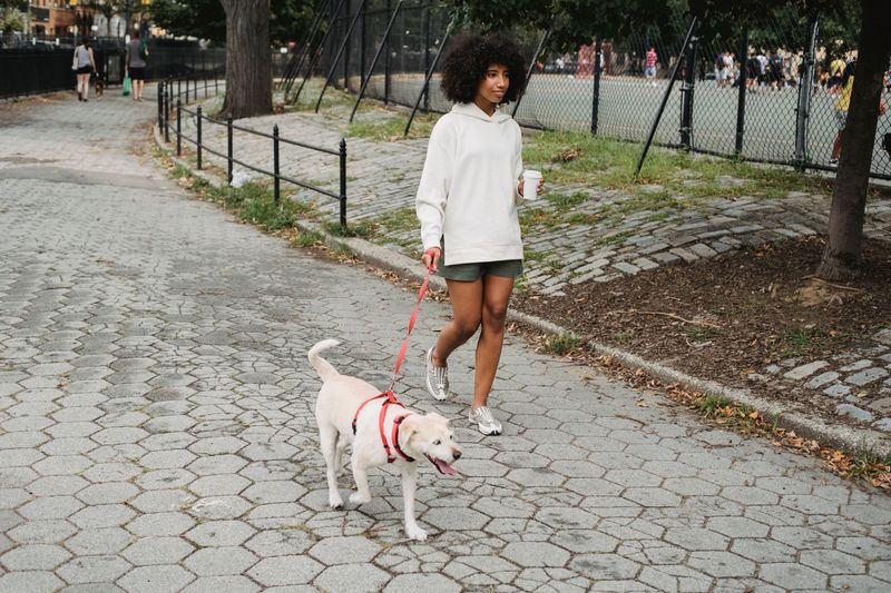 Leash Length Actually Matters More Than You Think