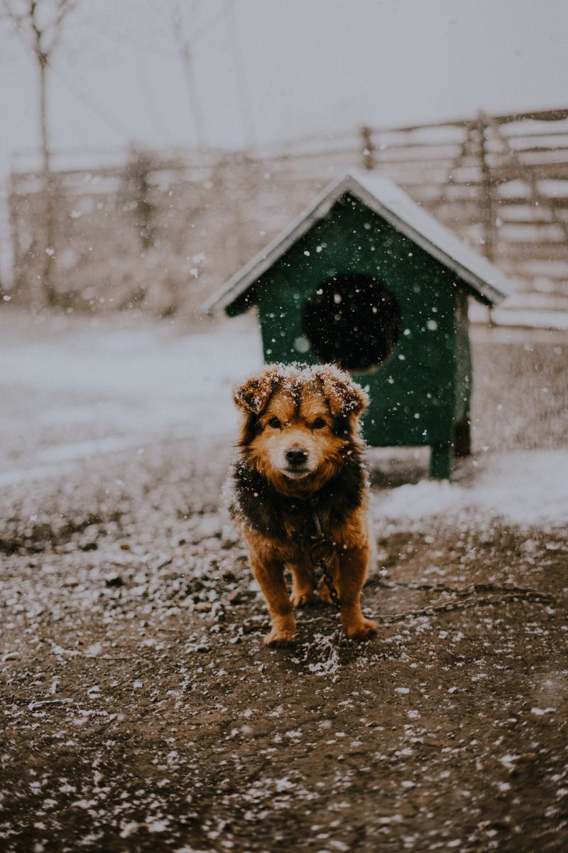 Harsh Weather Limits Outdoor Time