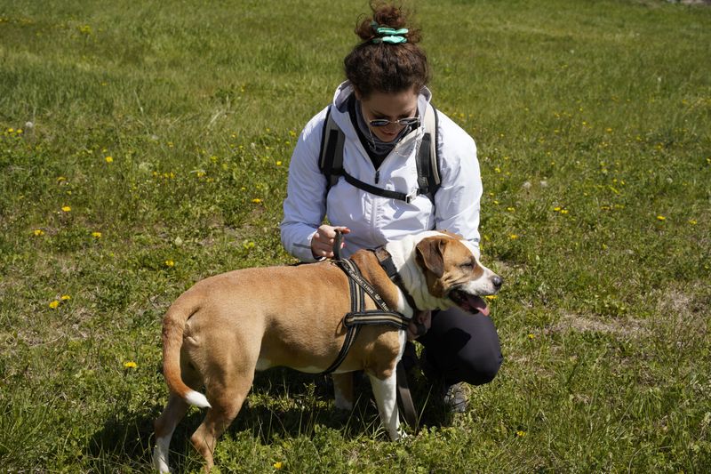 Build A Tick Check Into Every Walk