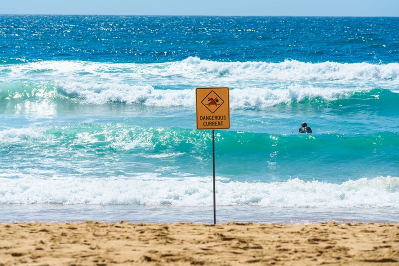 Rip Currents Move Dogs Offshore Quickly