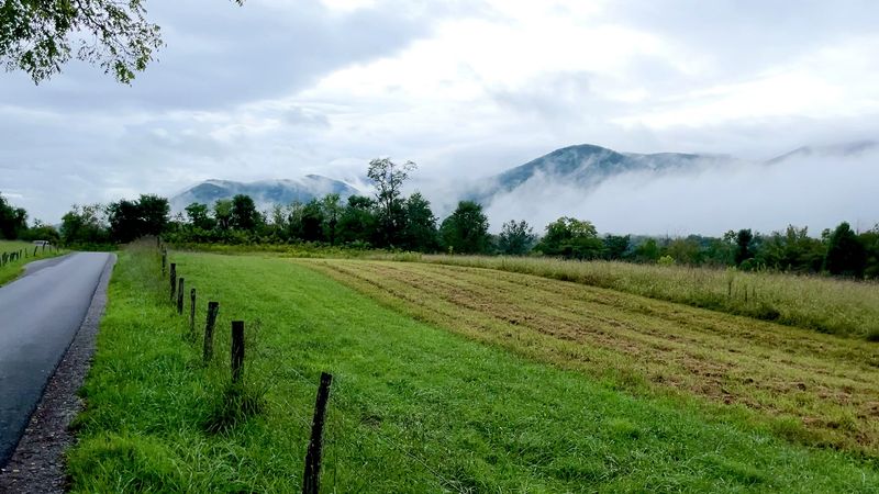 Cades Cove Scenic Drive