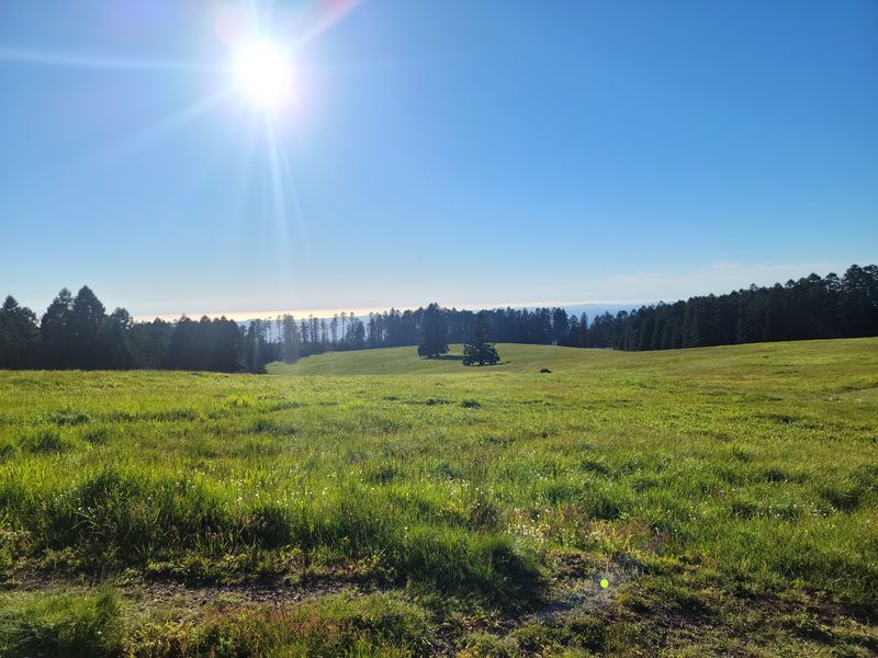 Marys Peak to Pacific Scenic Byway to Waldport