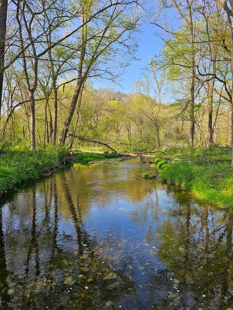 Yellow River State Forest