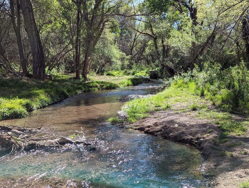 Tucson To Patagonia Lake And Sonoita