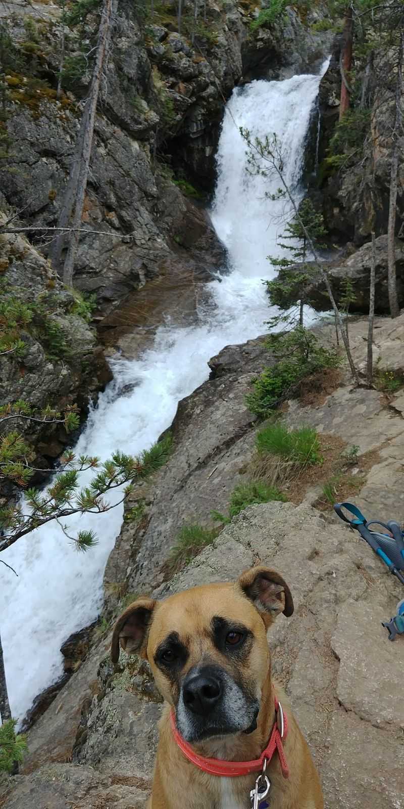Buena Vista, Browns Creek Falls, and Cottonwood Pass