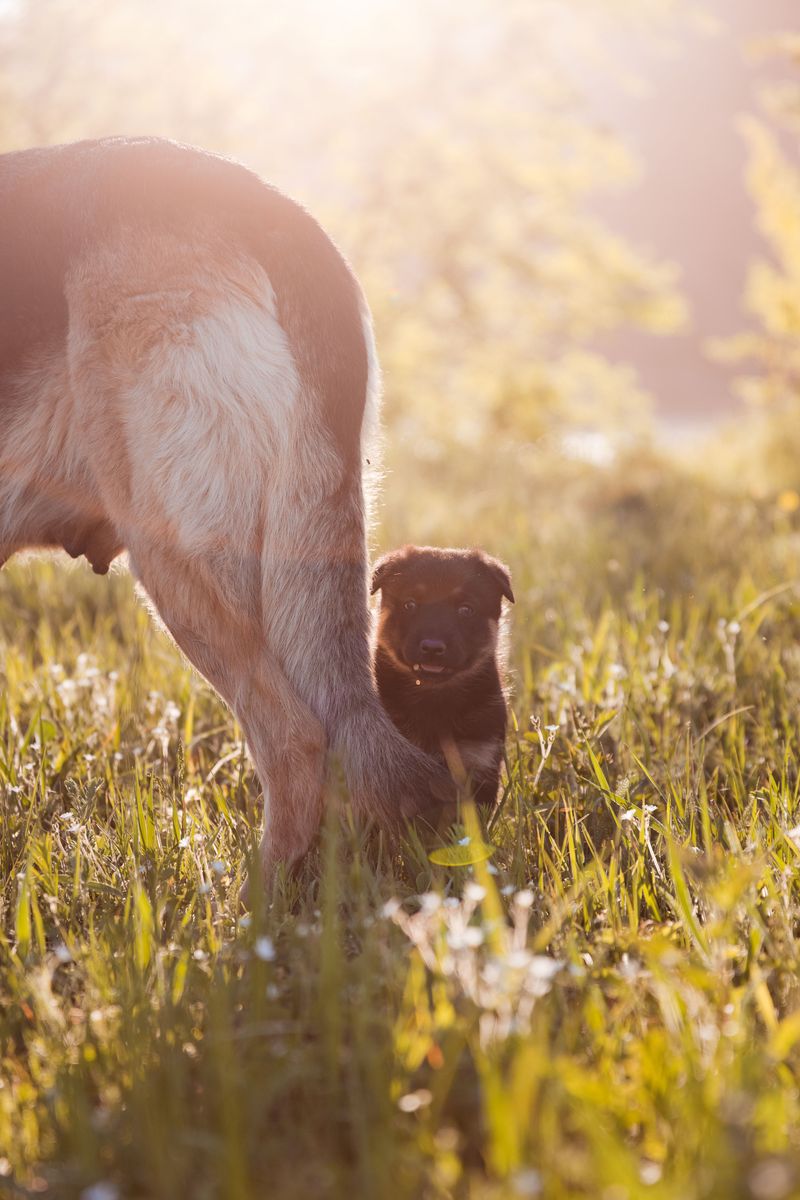 Ticks Love Warm, Hidden Spots