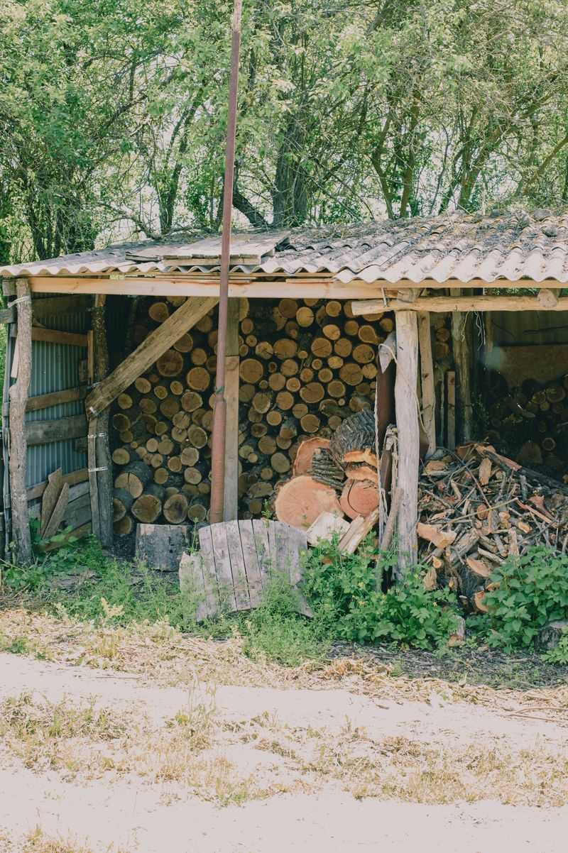 Know Where Rattlesnakes Hide Around Rural Properties