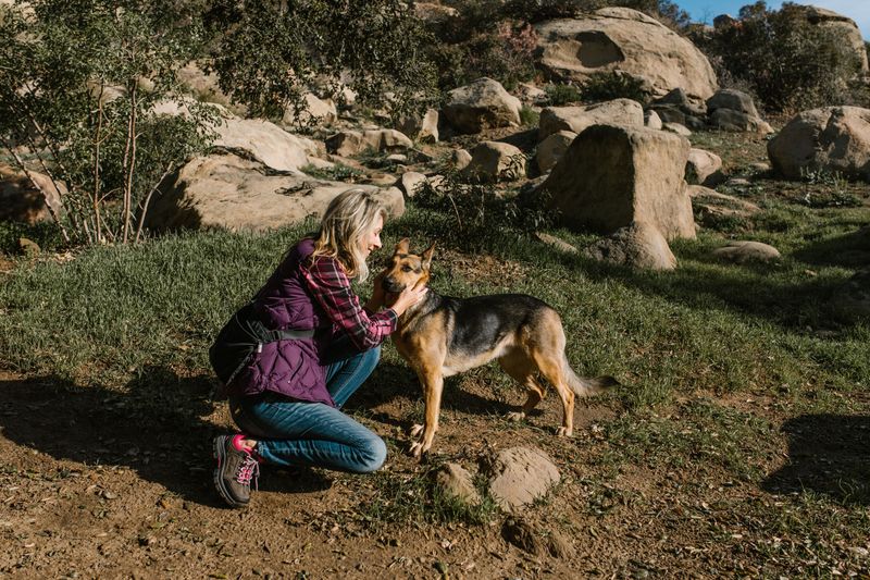 Check Your Dog After Every Woodland Trip