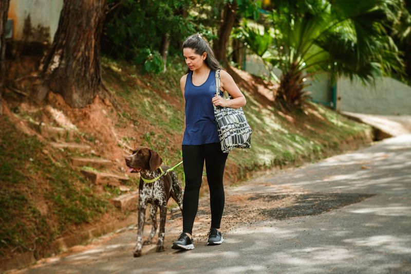 Take Your Dog for a Walk Before Celebrations Begin