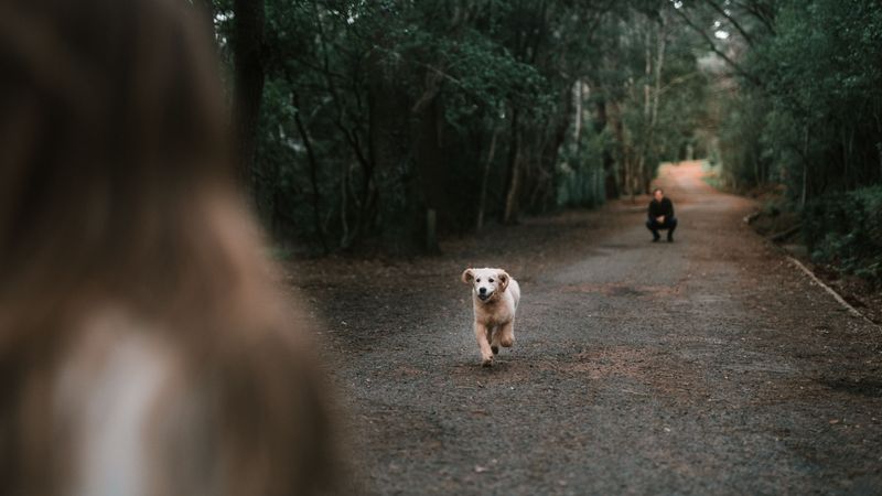 Teach A Reliable Recall