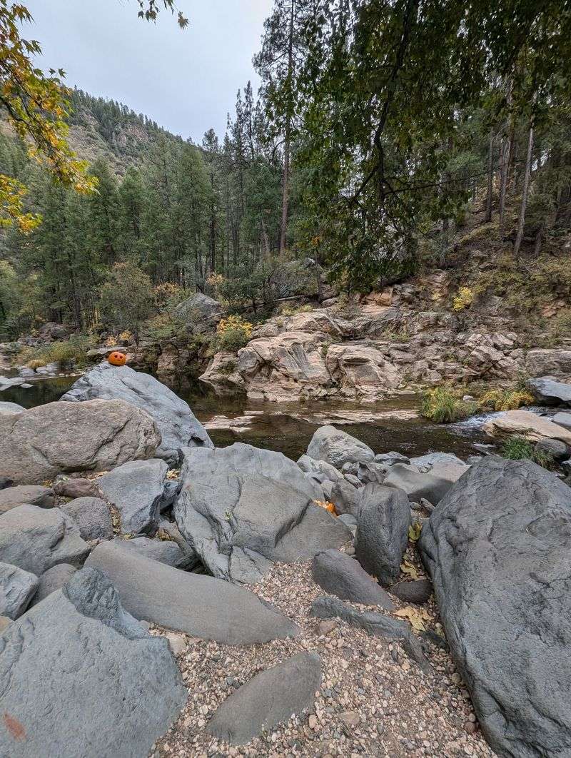 Oak Creek