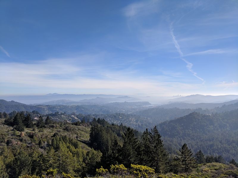 Old Stage Fire Road, Mount Tamalpais