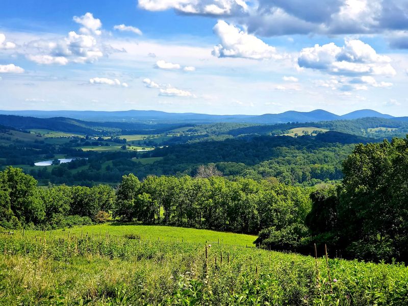 Fairfax County to Sky Meadows State Park