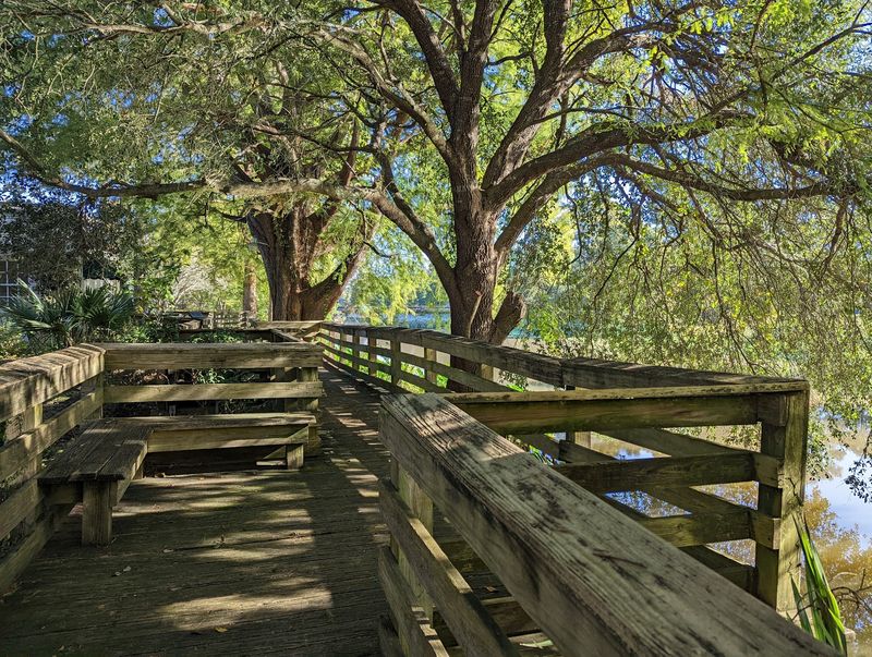 Discover Outdoor Spaces In St. Martinville
