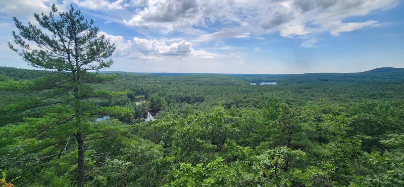 Leominster State Forest, Leominster