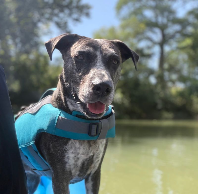 New Braunfels: River Runs and German Charm