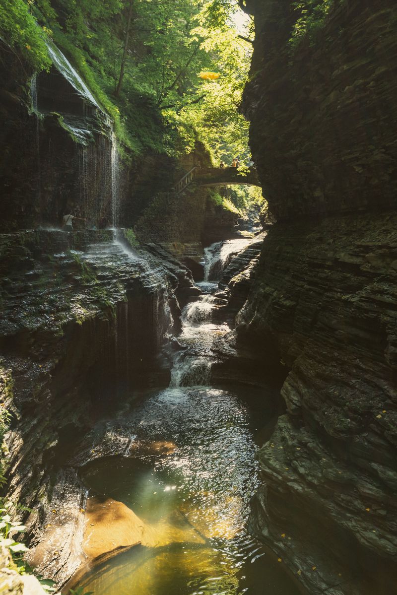 Chase Waterfall Views at Fillmore Glen State Park