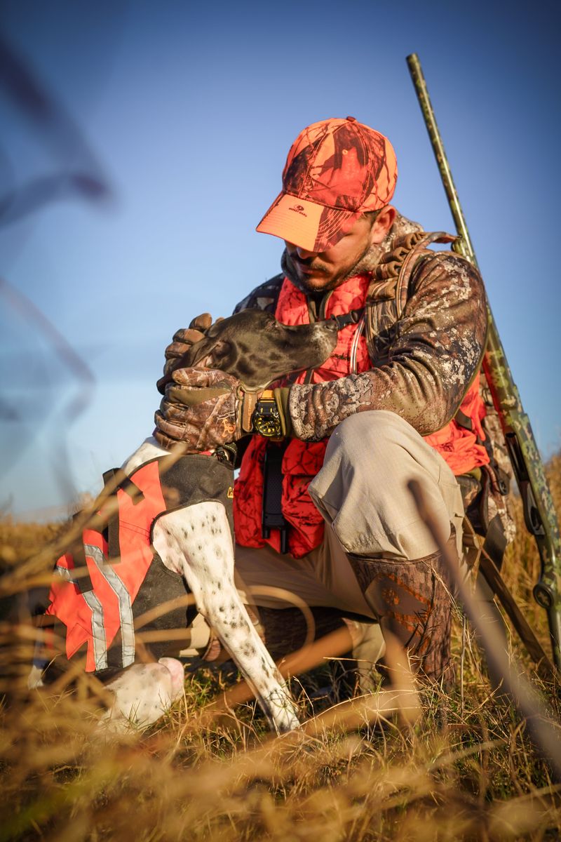 Working And Hunting Dogs Need Extra Attention