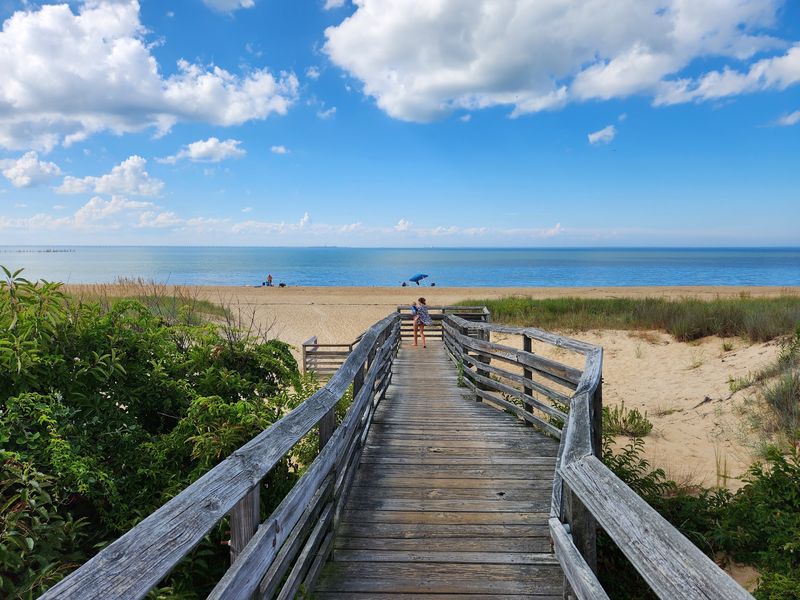Explore the beach and maritime forest at First Landing State Park