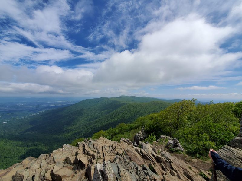 Explore dog-friendly trails in Shenandoah National Park