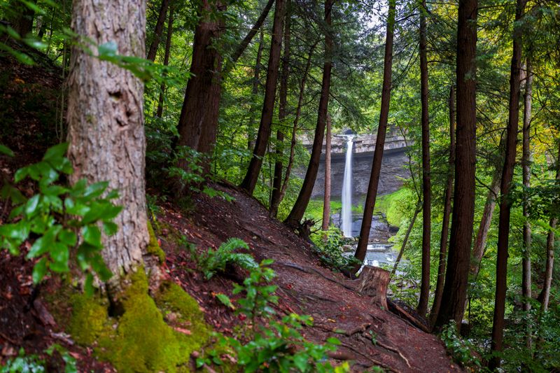 Explore the Waterfall Trails at Robert H. Treman State Park