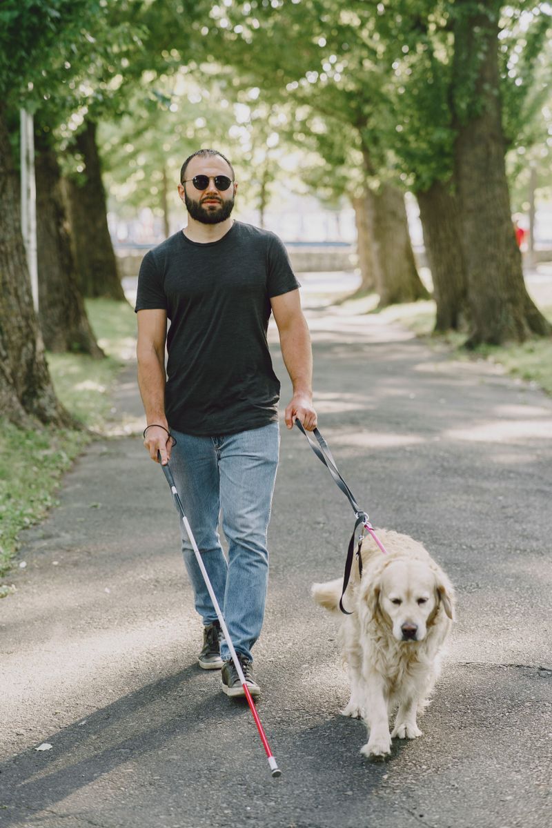Service Animals Get Special Legal Protection