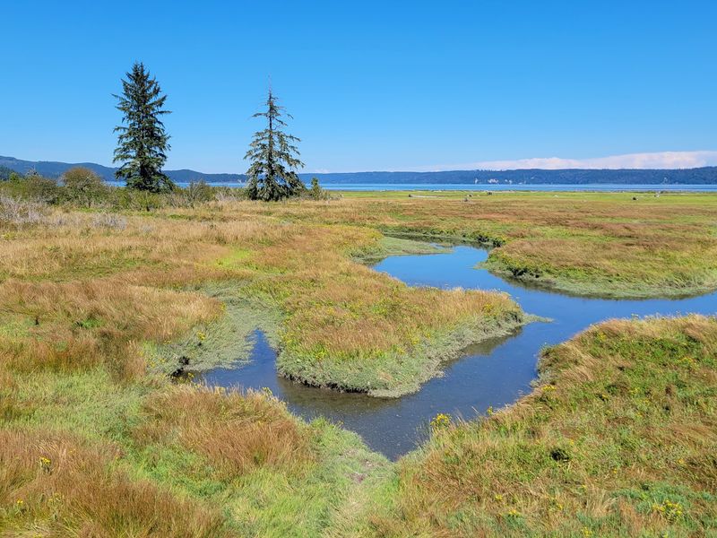 Dosewallips State Park, Brinnon