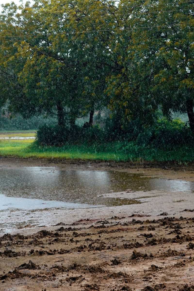 Give It About 48 Hours After Heavy Rain