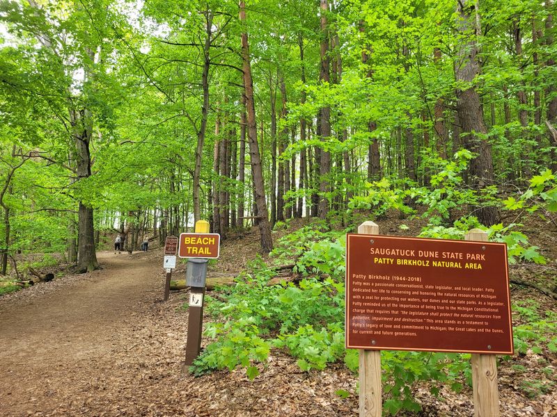 Saugatuck Dunes State Park, Saugatuck