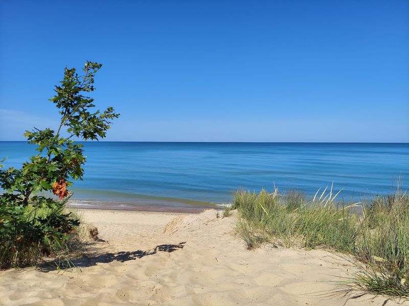 Van Buren State Park for a Dedicated Pet Beach