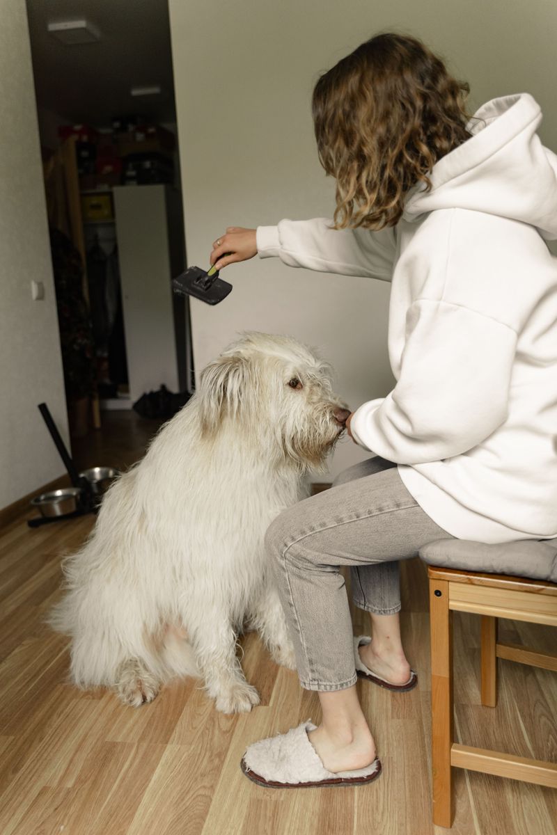 Make Tick Checks Part of the Daily Routine