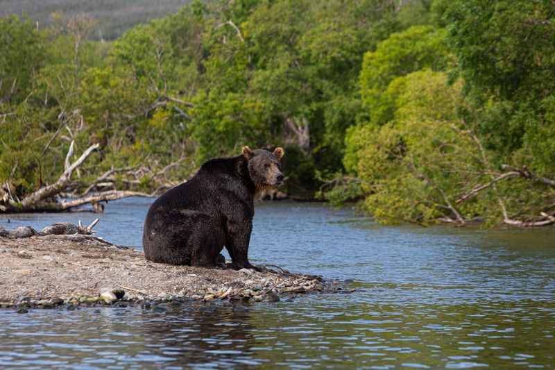 Give Wildlife Plenty Of Space