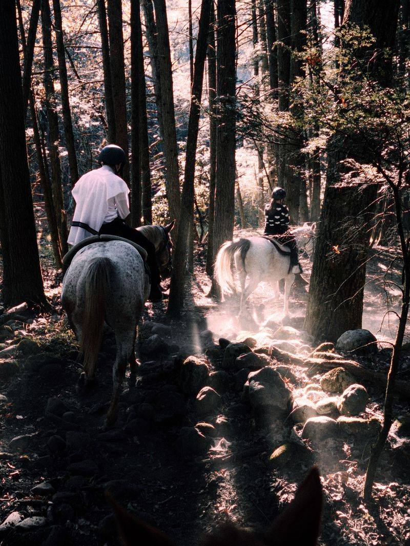 Horses May Share Backcountry Trails