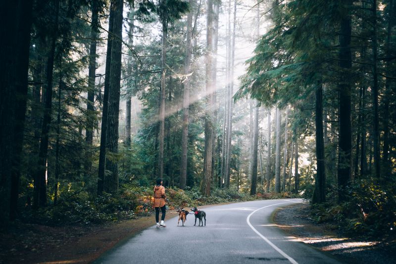 Choose The Trail Length For Your Dog