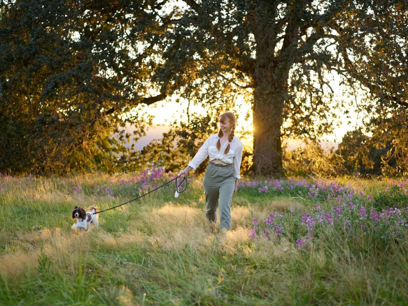 Leashes Add An Important Layer Of Control
