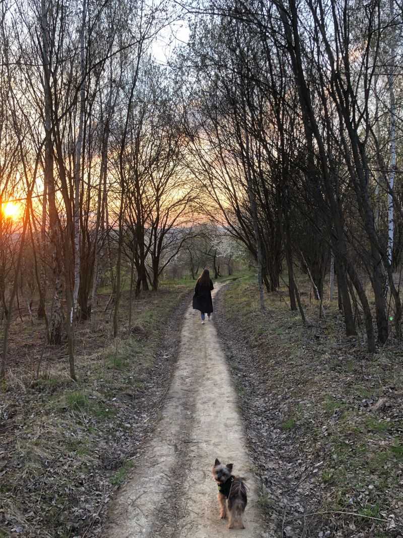 Be More Alert Around Dawn and Dusk