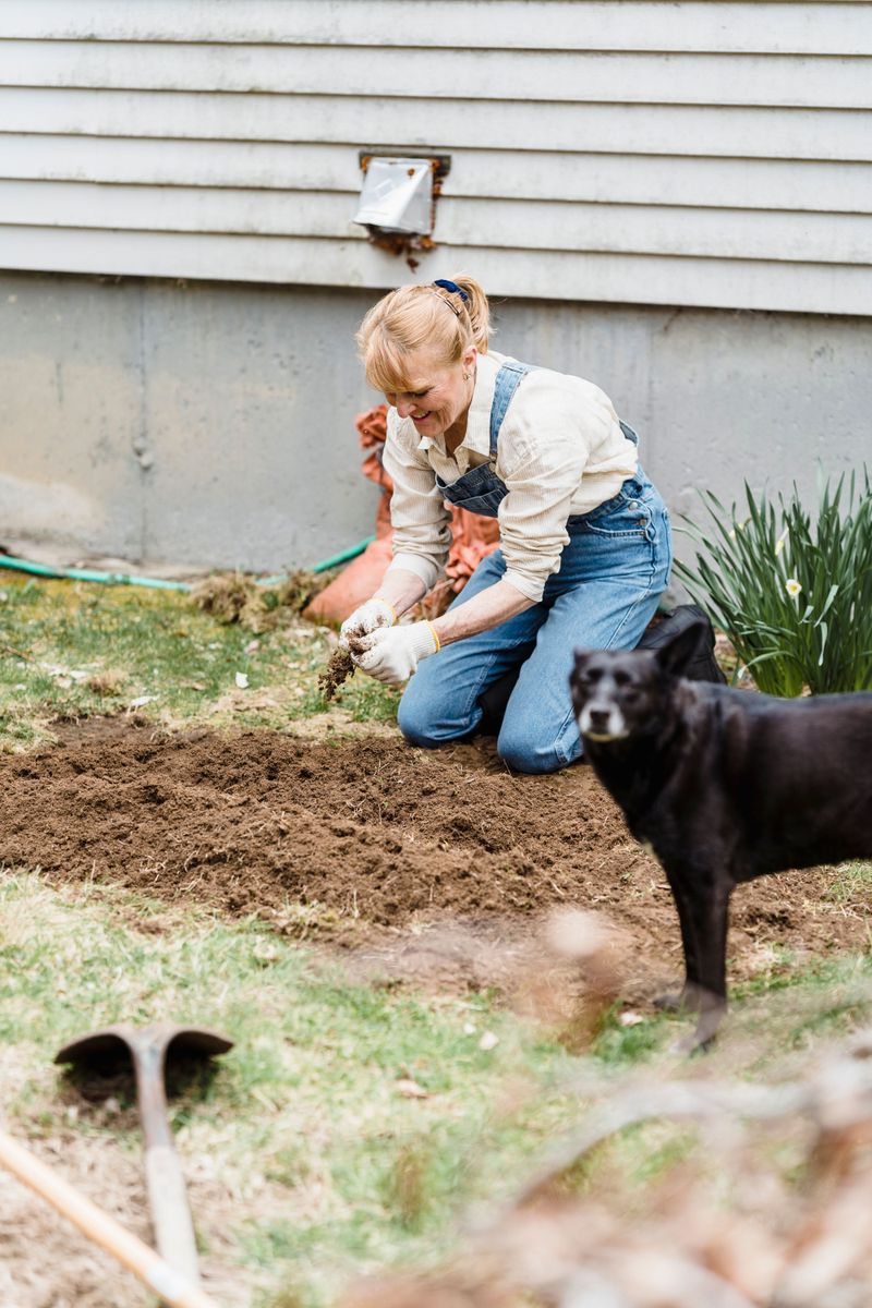 Keep Dogs Away During Cleanup and Reset Your Routes