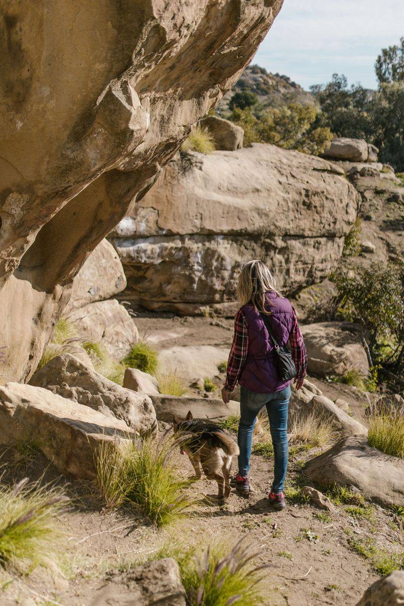 Keep Curious Dogs Close Around Unstable Terrain