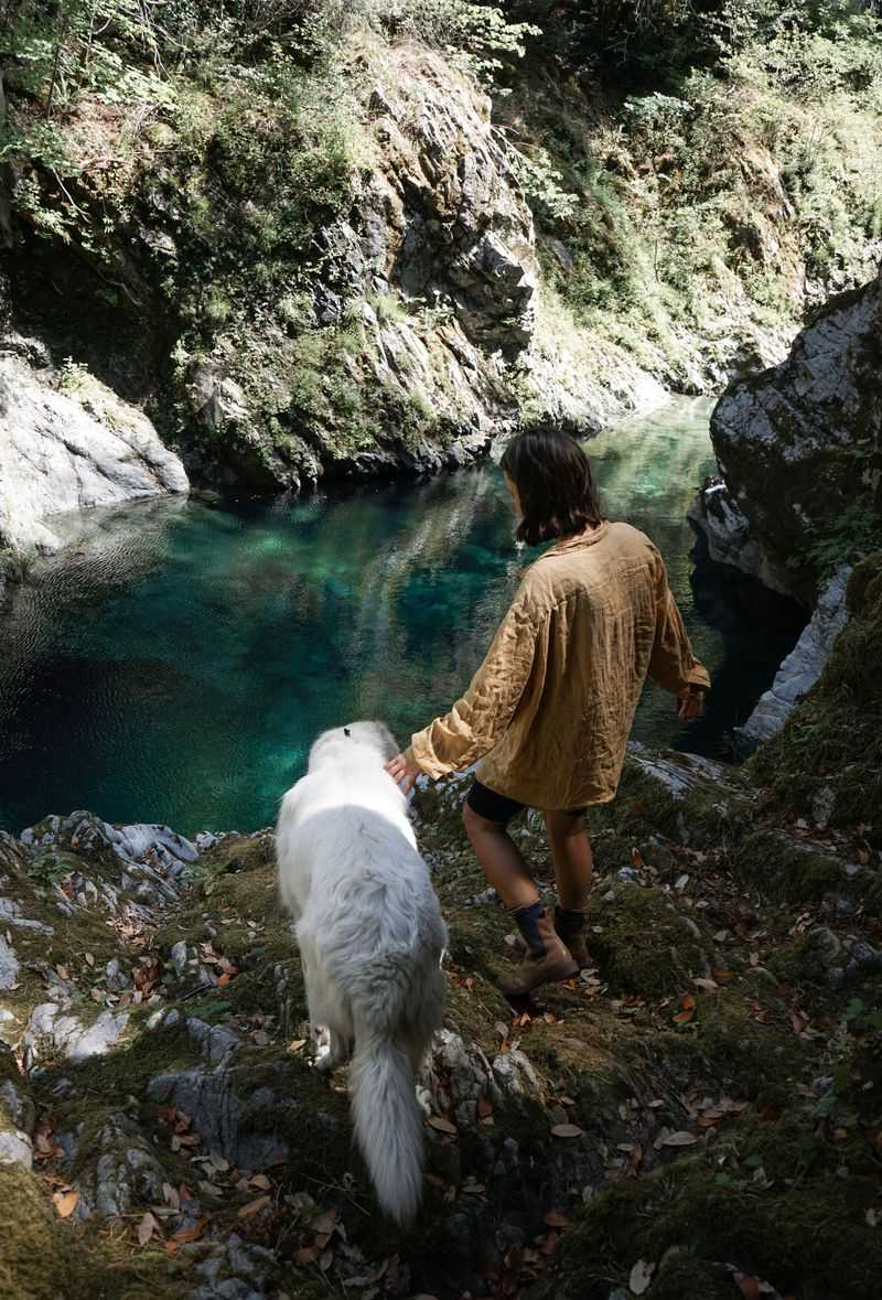 Never Let Your Dog Test the Water