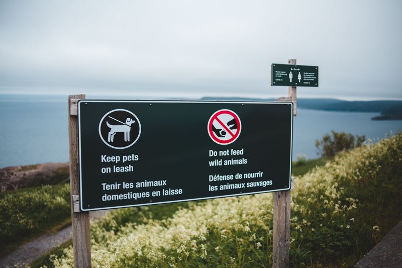 Do Not Try to Touch or Feed It