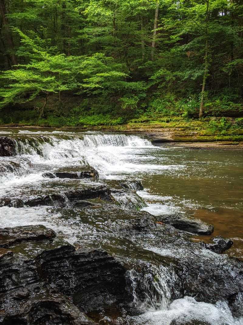 Follow Shoal Creek at David Crockett State Park