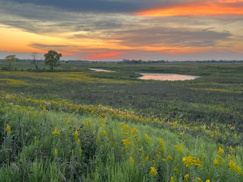 Springbrook Prairie Forest Preserve, Naperville