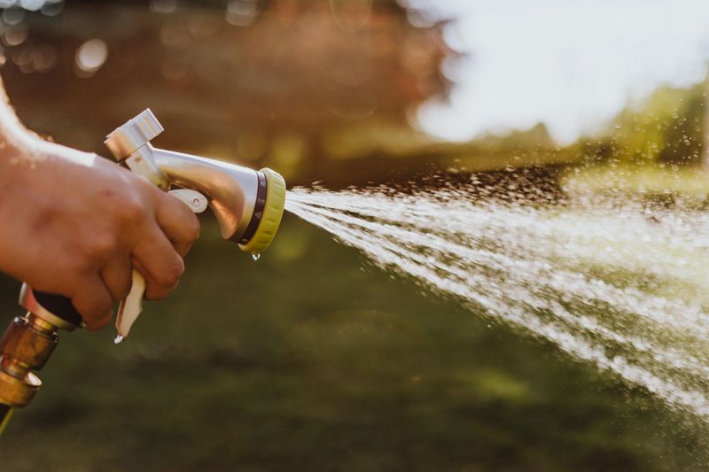 Spray It with a Garden Hose If Safely Possible