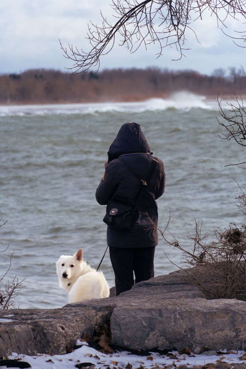 Watch the Water Before Your Dog Enters