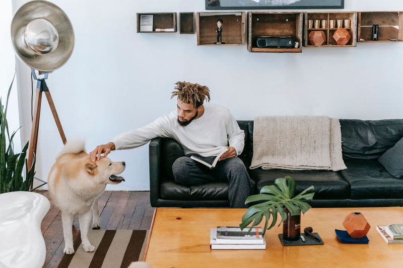 Pet Rent Can Add Up Quickly
