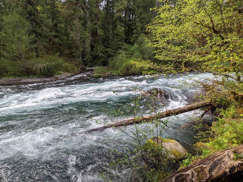 McKenzie River Scenic Byway